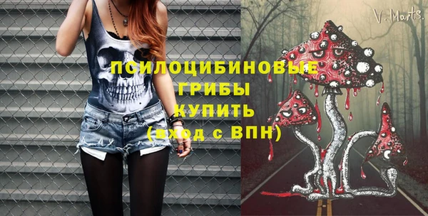 СК Абдулино